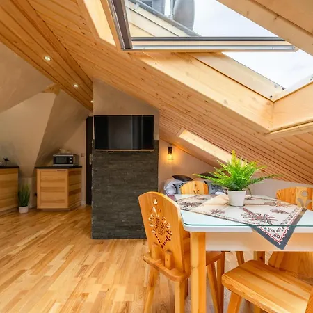 Apartment Wellness & Cztery Pory Roku Koscielisko
